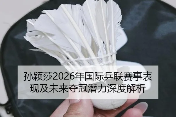 孙颖莎2026年国际乒联赛事表现及未来夺冠潜力深度解析 - HTH SPORTS